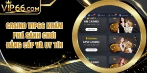 Casino Vip66