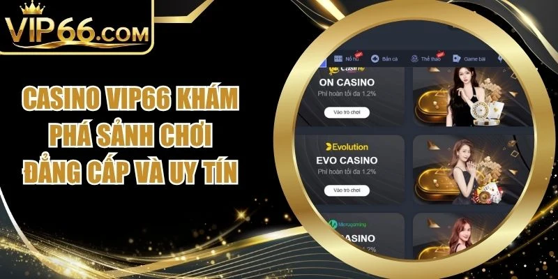 Casino Vip66